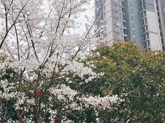 -江宁路街道社区文化活动中心