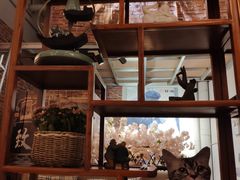 -耳·道古法采耳(高新万达店)