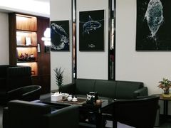 -威固7V汽车贴膜改色·净界(广州旗舰店)