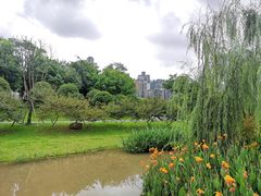 -沐仙湖湿地公园