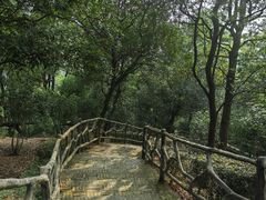 -大雁山风景区