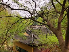 -雨花胜境