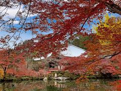 -醍醐寺