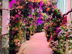-正佳雨林生态植物园