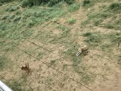 -鄂尔多斯野生动物园