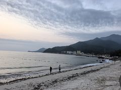 -杨梅坑