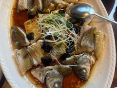 -龙悦湾酒家·八阵鱼生·渔人码头店
