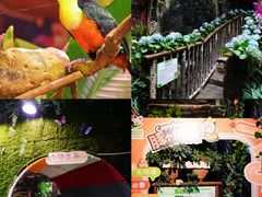 -正佳雨林生态植物园