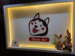 -Husky Go! 哈士奇体验馆·宠物咖啡厅狗咖