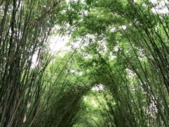 -望江楼公园