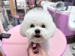 -FAELING PETS美天灵宠物(富力广场店)