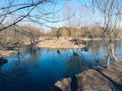 -梁鸿国家湿地公园