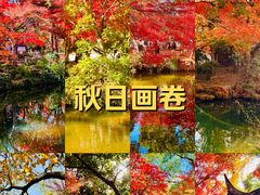 -秋霞圃