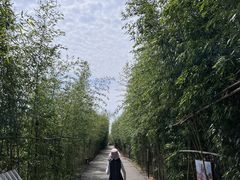 -武汉紫薇都市田园