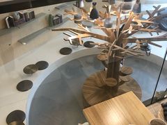 -飞行喵MR PILOT|猫舍·猫咖(静安大融城店)