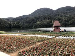 -广州市石门国家森林公园