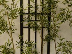 -大赏足道(全运店)