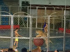 -西安秦岭野生动物园