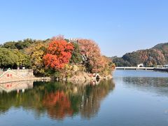 -金海湾海鲜排档(朱家尖店)
