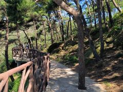 -沂蒙山旅游区龟蒙景区