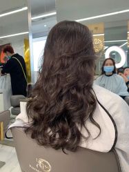 -潘多拉Hairsalon