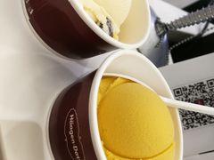 -哈根达斯(万象城店)
