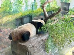 -ZOO COFFEE动物园咖啡(红山森林动物园店)