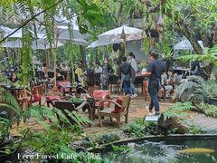 -Fern Forest Cafe