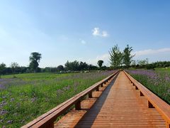 -汉长安城未央宫国家考古遗址公园