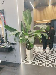 -老肖男士理发店