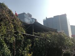 -新月斋(豆瓣胡同店)