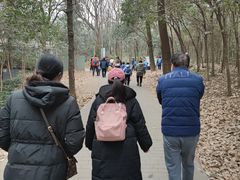 -紫金山山顶公园