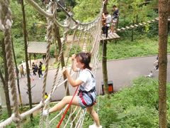 -梦幻奥陶纪景区