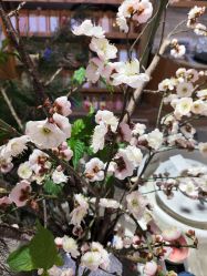 -今日陶艺(富力广场店)