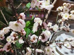 -今日陶艺(富力广场店)