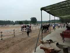 -月河湾马术俱乐部(朝阳店)