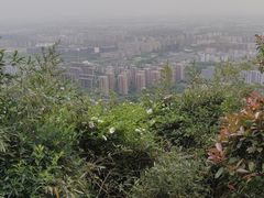 -杭州半山国家森林公园