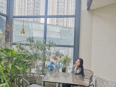 露天位-大树餐厅(红旗街万达店)