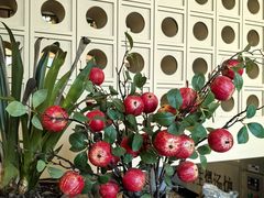-衢农会·衢州菜·宴请(国际机场店)