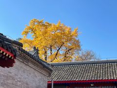 -红螺寺