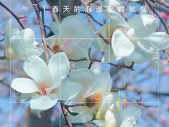 -睦南公园