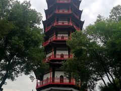 -绳金塔