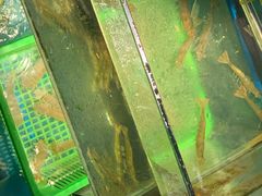 -吉友粥底火锅(方斜路店)