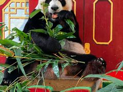 -广州长隆野生动物世界