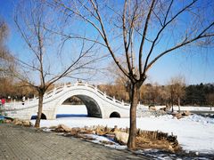 -长春市南湖公园