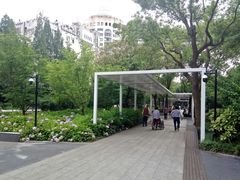 -兰溪青年公园