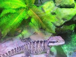 -酷嗒动物文化乐园(cutezoo西溪乐天城店)