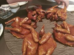 -三强鸽子(中原路店)