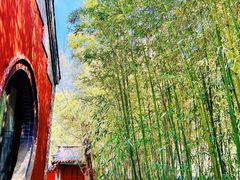 -泰山风景名胜区-普照寺