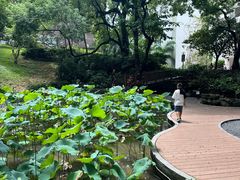 -香港大学